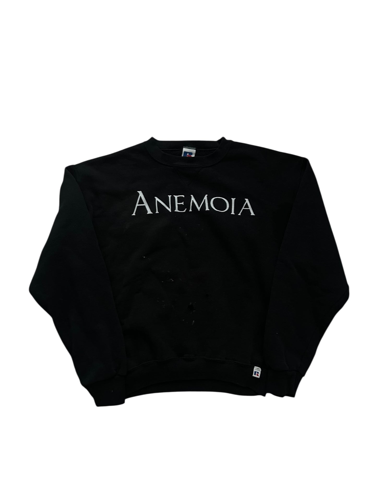 80s cropped distressed russel anemoia crewneck